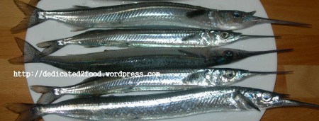 Oosi Kola - Gar Fish